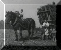 De familie Van Dorpe met paard en kar (Deftinge 1960)